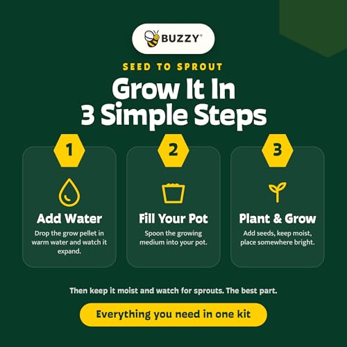 BUZZY Seeds Holiday Spruce Grow Kit 12-Pack, Terracotta Pots, Tree Gift - color: 12pk Holiday Spruce