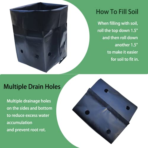 Belit 100 Pcs Plant Nursery Bags, Plastic Seedling Pots Container for Fruit Tree, Flower, Starting saplings, Plant Grow(3.5"x6.6") - size: 3.5"x6.6"