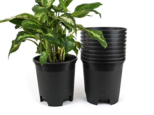 1.5 Gallon Black Nursery Pot Plastic Planters for Outdoor Indoor Plants Gardening Flower Pots 10-Pack 7.5 in Pot Liners with Drainage Holes - color: Black, size: 10-Pack 1.5 Gal