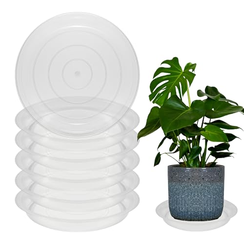 6 Pack 8 Inch Round Plant Saucers for Less 6.8 Inch Pot Indoors Outdoors Plant Trays for Pots Planter Saucer Plastic Plant Drip Tray Planter Water Tray for Potted Plants(Clear, 8"(6pcs)) - color: Clear, size: 8"(6pcs)