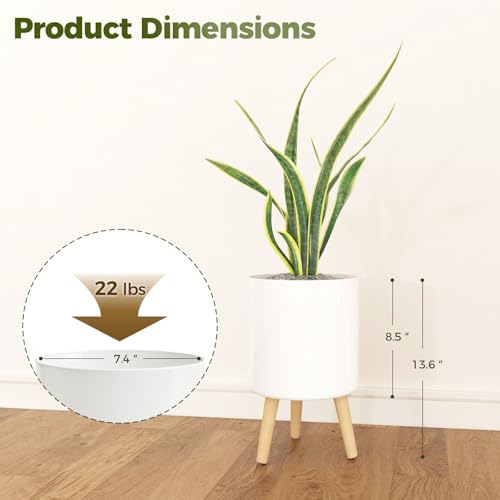 Bamworld Self Watering Pots for Indoor Plants with Water Level Indicator - size: 8 in
