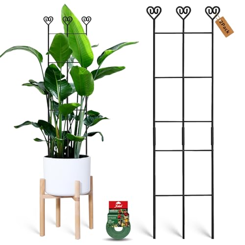 32in Large Indoor Plant Trellis for Climbing Plants, Expandable Metal Garden Trellis for Potted Plants, Tall Plant Supports for Ivy Pothos Hoya Monstera, 2p - size: 32in/2p