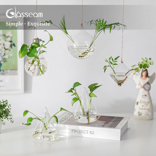 Glasseam Hanging Plant Propagation Station: 5Pcs Small Glass Terrarium Jars