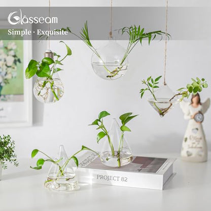 Glasseam Hanging Plant Propagation Station: 5Pcs Small Glass Terrarium Jars