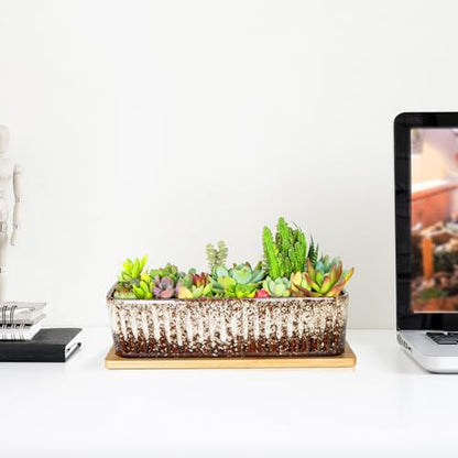 Succulent Pots, 12'' Long Rectangle Planters with Tray, Windowsill Planter - color: White