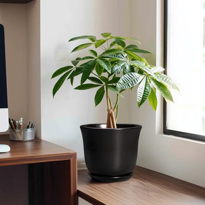 8 Inch Plant Pot, Ceramic Pots for Plants with Drainage, Black - color: Black, size: 8 Inch