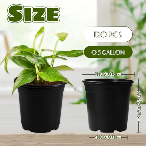 OJYUDD 120 Pcs 0.5 Gallon Black Plastic Plant Nursery Pots,Plant Seedling Pots with Drainage Holes,Black Flower Planting Container for Seedlings Transplanting,Planting,Succulent - size: 120 Pcs 0.5 Gallon