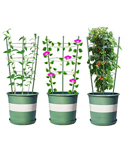 Plant Support Cages for Climbing Plant Upgrade Flower Tomato cage with Stand Stakes and Stable Support Rings, 3 Pack with 12 Clips (36") - size: 36"
