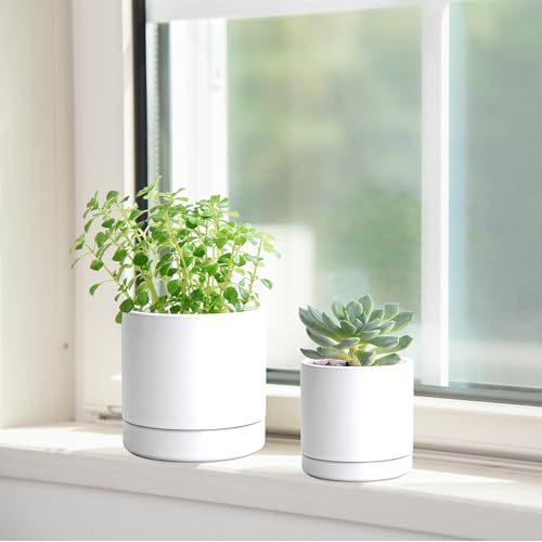 D'vine Dev 2-Pack Ceramic Pots & Saucers, White, 3.5/4.7 in, 94-G-XS-1 - color: White, size: X-Small