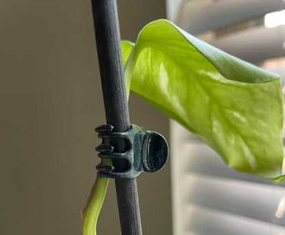 Plant Clips for Support Orchid Support Clips Flower Vine Garden Clip for Climbing Plants Orchid Clip for Supporting Stems Vine Stalks Grow Upright 30pcs