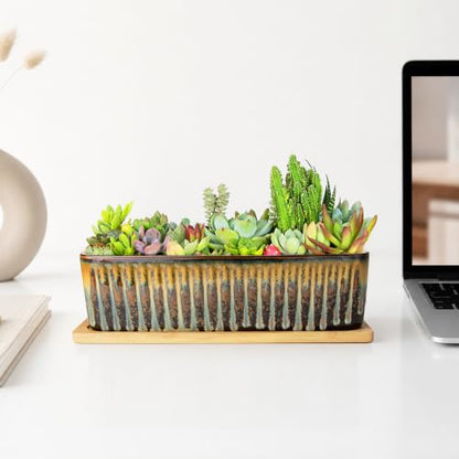 Succulent Pots, 12'' Long Rectangle Planters with Tray, Windowsill Planter - color: Flow Glaze