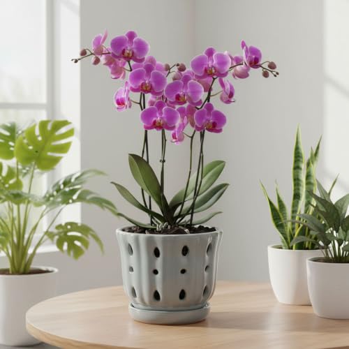 Ceramic Orchid Pot with Attached Saucer and Drainage Hole 6'' Gray - color: Gray