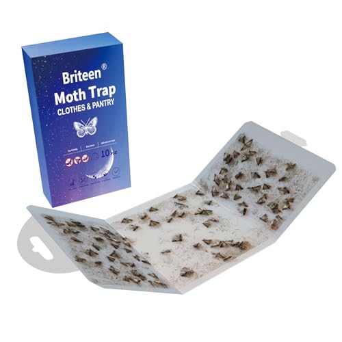 Pantry Moth Traps 10-Pack Safe and Effective for Food and Clothing- Glue Traps with Pheromones for Wool Closet Carpet Food and Cupboard K05 - color: Blue