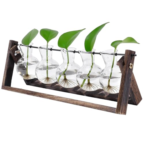 PH PandaHall Plant Terrarium with 5 Bulb Vase Plant Propagation Station with Wooden Stand Hydroponic Plants Vase Tabletop Plants Display Holder for Propagating Hydroponic Home Garden Office Decor - color: Coconut Brown