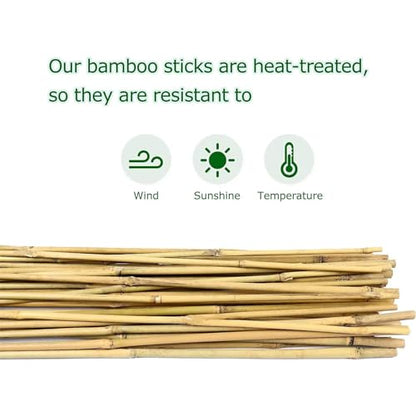 Cambaverd Bamboo Stakes for Plants, 20 Pack Plants Stakes 5 Feet(58in) - size: 58 IN-20 PACK