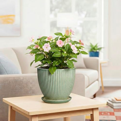 8 Inch Planter, Ceramic Plant Pots with Saucer, Green - color: Green, size: 8 Inch