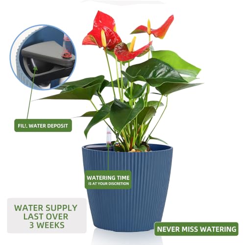 Dexceder 9x8 Self Watering Planters Indoor (2 Pack, Deep Blue) - color: Deep Blue, size: 9x8