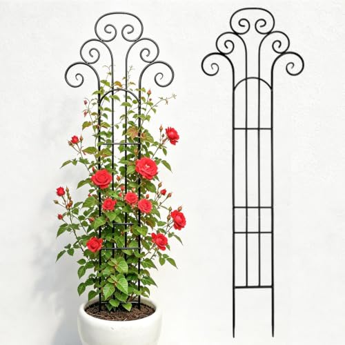 Metal Indoor Plant Trellis for Climbing Plants, 47" Rose & Clematis Support - size: 47"H