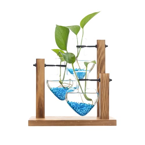 Plant Propagation Station, Heart-Shaped Hydroponic Glass Vase with Wooden Stand Decorative Propagation Stations with Blue Glass Beads for Home Desk Office Gardening Gifts for Plant Lovers