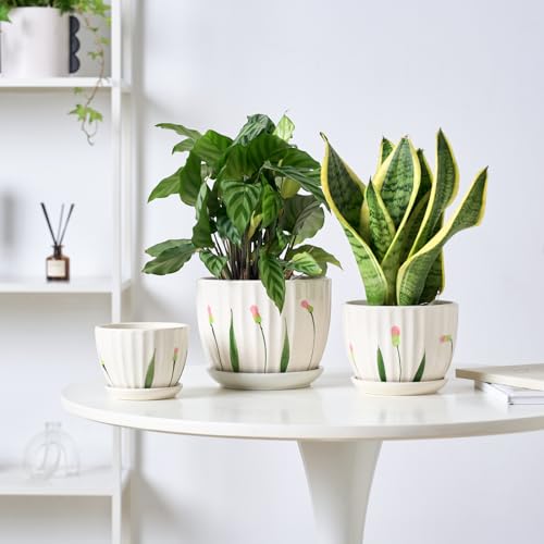 STHIE 4/5/6 Inches White Ceramic Plant Pots with Drainage Holes and Saucer - color: White Floral-big Size