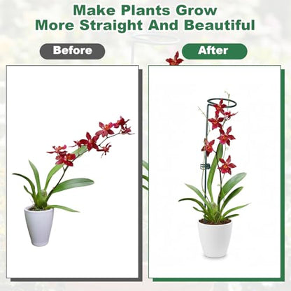 6pcs Plant Support Stakes Plant Stakes for Indoor 12/25/36 Inch Plants Sticks Support Adjustable Tall Plants Holder Sticks with 30 Clip for Peony Tomato Orchid Lily Flower