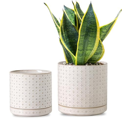 Plant Pots, 5+6 inch Planters Set of 2, Ceramic Pot for Indoor Plants with Drainage Hole and Saucer, Small Flower Pot for Succulent, White