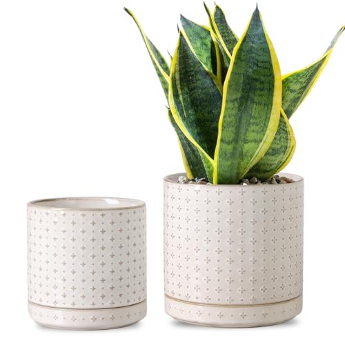 Plant Pots, 5+6 inch Planters Set of 2, Ceramic Pot for Indoor Plants with Drainage Hole and Saucer, Small Flower Pot for Succulent, White