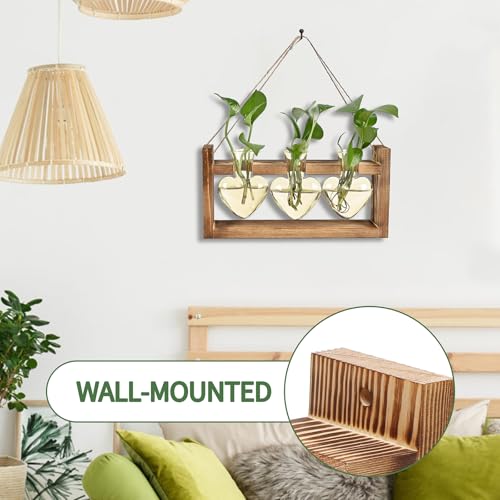 Plant Terrarium Propagation Stations Hydroponics - color: Gold