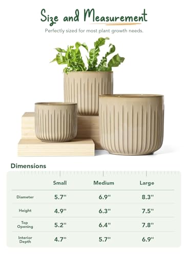LE TAUCI Ceramic Pots for Plants, 8.3/7/6 Inch Indoor Planters with Drainage Holes & Mesh, Modern Glossy Glaze Cylinder Fluted Plant Pot for Snake Plant, Set of 3, Sand Beige - color: Sand Beige