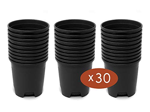 Wholesale Bulk Nursery Pot 5.5 Inch Black Plastic Planters 30-Pack 0.5 Gallon Pots for Outdoor Indoor Plants Gardening Flower with Drainage Holes - color: Black, size: 30-Pack 0.5 Gal