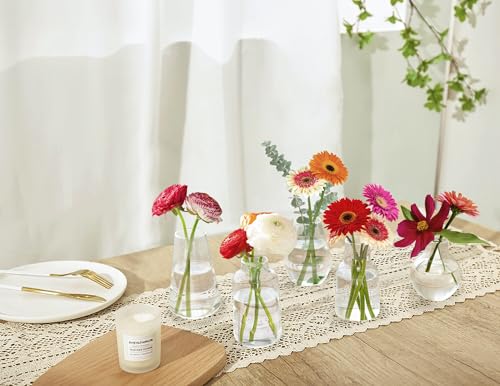 Mkono Propagation Vases 5 Glass Jars Station for Hydroponic Plants, Clear - color: Clear