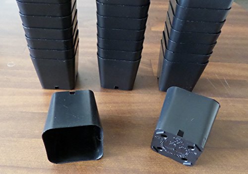 100 2" Inch pots for Starting seedlings 2" Square Durable Reusable Plastic Starter