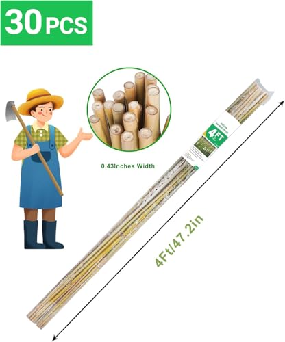Natural Bamboo Plant Stake, （4FT 30Pcs） Sturdy Bamboo Poles, Durable Plant Bamboo Stake, Garden Climbing Plant Bracket. - size: 4ft-30PCS