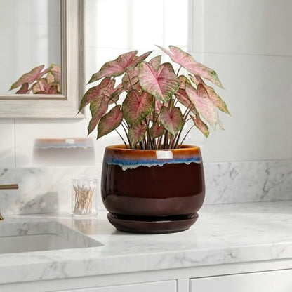 Ceramic Planter, 7 Inch Plant Pots with Drainage, Brown-Blue - size: 7 Inch, style: Brown-blue