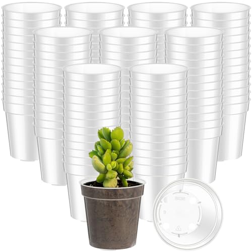 Yaomiao 200 Pcs 2 Inch Clear Mini Nursery Pots with Drainage Holes - color: Clear, size: 2 Inch