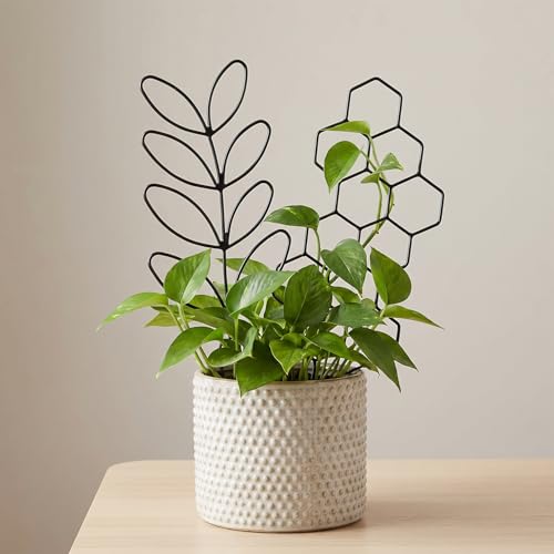 Gjinxi 2 Pcs Indoor Plant Trellis Houseplant Trelli,12 inch Plastic Trellis