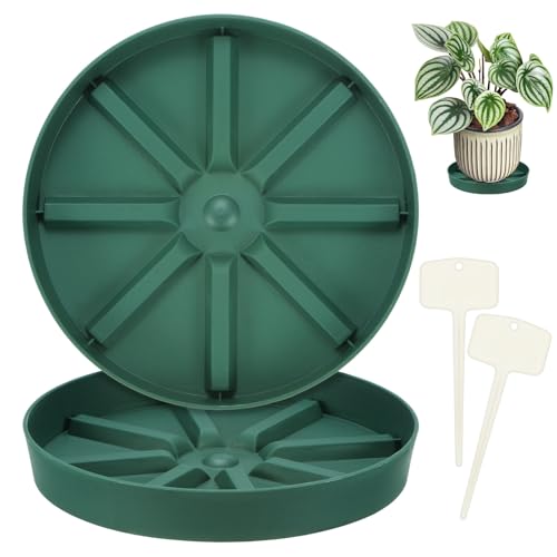 M METERXITY 2-Pack Plant Saucer, 6.89 Inch/17.5 cm Plastic Plant Trays Thicker for Pots/Indoor/Outdoor/Water Drainage and Protection, Flowerpot Drip Tray [Green] - size: 6.89 in