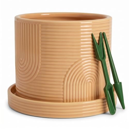 6 Inch Ceramic Plant Pot with Drainage Hole & Tray – Buttercream - color: Buttercream
