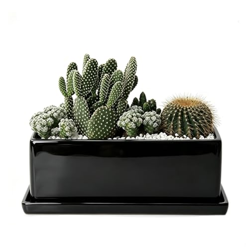 12 Inch Rectangular Ceramic Plant Pot, Window Box, Glazed Black - color: Black, size: 12 Inch
