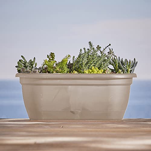 Bloem: Lucca Self Watering Window Box Planter: 18" - Charcoal Gray - Durable Long Lasting Plastic Pot, Indoor Outdoor Use, Gardening, 2.5 Gal Capacity - color: Pebble Stone