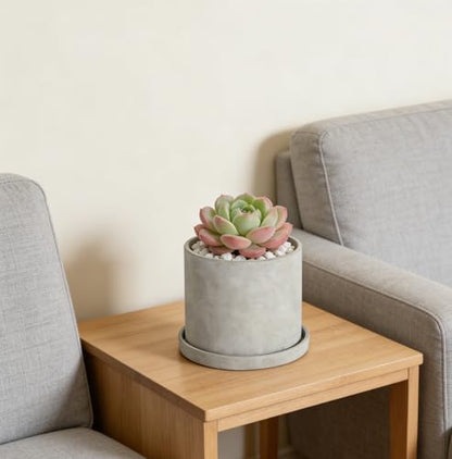 Ekirlin 7 Inch Plant Pot Indoor, Grey Cement Garden Planters with Drain Hole & Saucer Tray, Modern Succulents Containers Flower Pots for Home Decor, Outdoor, Office and Most Plants - size: 6.7 inch
