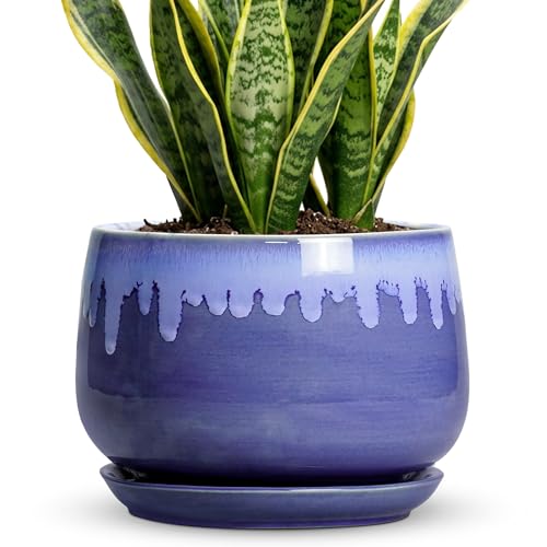 Ceramic Planter for Plants- 9 Inch Plant Pots Indoor with Drainage and Saucer, Decorative Planters, Durable Round Indoor Flower Pot, Garden Room Decor, Plant Gifts for Women Men, Blue - size: 9 Inch, style: Blue