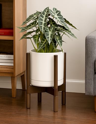 D'vine Dev Ceramic Pot with Walnut Wood Stand, Oatmeal, 8 in, 55-B-Y-8 - color: Oatmeal Pot + Walnut Color Stand, size: 8 Inch