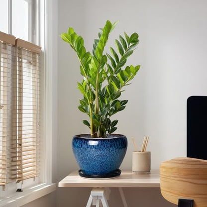 10 Inch Plant Pot, Ceramic Planter with Drainage and Saucer, Blue - color: Blue, size: 10 Inch