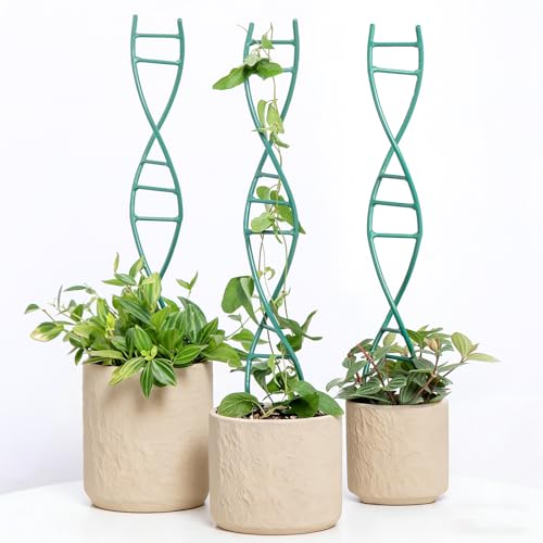 3PCS Indoor Plant Trellis for Potted Plants - Metal Houseplant Trellis - color: Green