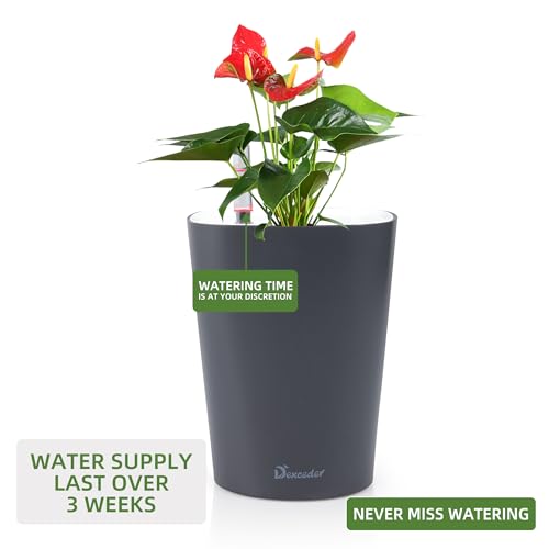 Dexceder 6x7 Self Watering Planter (Slate Gray) - color: Slate Gray