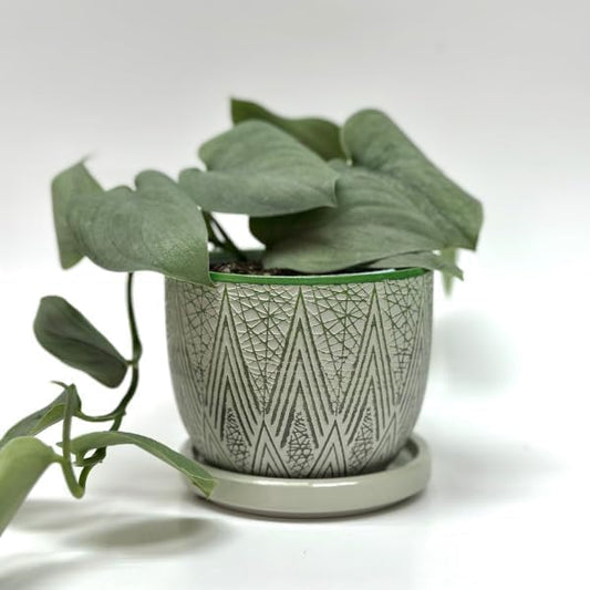 Plant Pots with Drainage 3 Inch Diameter Home Decor Indoor Ceramic Wide Planters with Saucer for Live Plants Outdoor Houseplants for Home Office Wedding Birthday Gift (Plains) - color: Plains