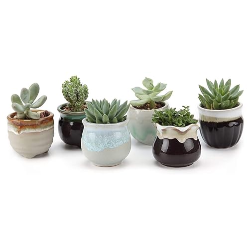 T4U Mini Ceramic Succulent Pots, Small Gift Planters, Retro Decor Set of 6 - color: Flowing Glazed, size: Pack of 6