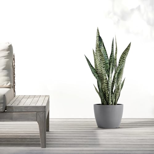 Ecopots Stockholm Round Flower Planter, Grey, 9.5" - color: Gray, size: 9.5"