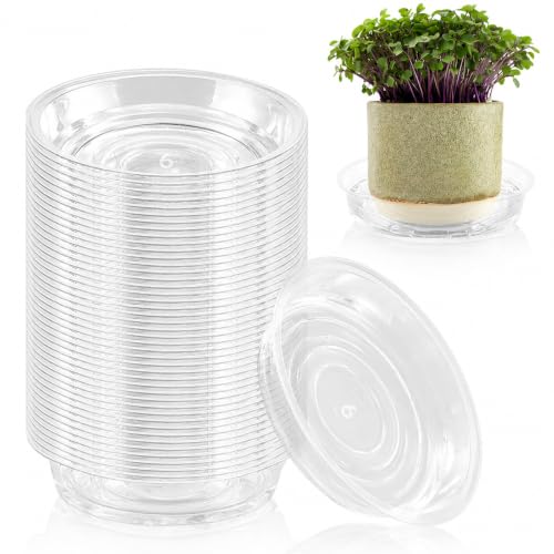 60 Pack 6 Inch Plant Saucer Clear Plant Saucers for Indoors Flower Pot Saucers Small Plants Plate Dish Succulent Pot Saucer Plants Trays for Pots Bulk Plastic Tray for Flower Cactus Nursery Pots - color: Clear, size: 6 inch: 60 pcs